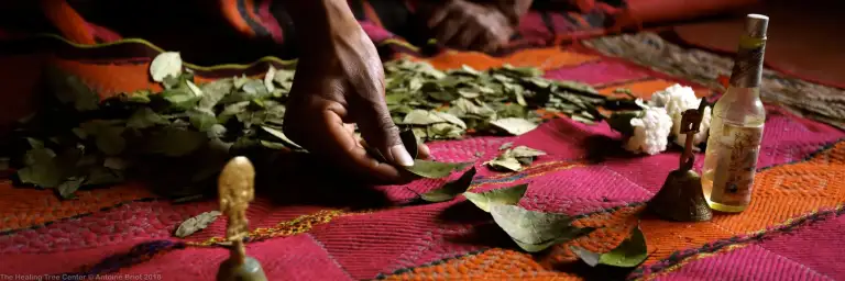 Coca Leaf Reading Ceremony