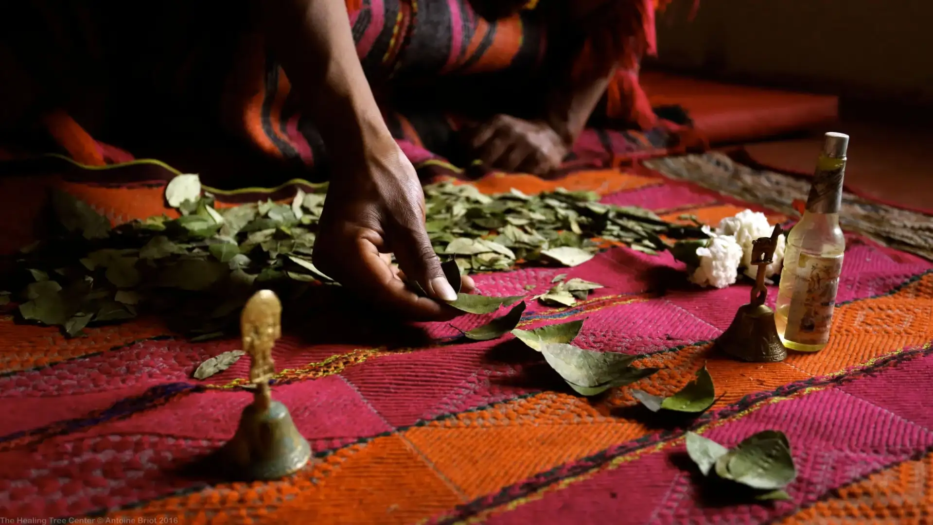 Coca Leaf Reading Ceremony