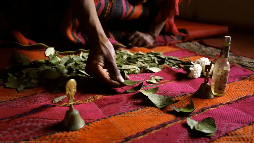Coca Leaf Reading Ceremony