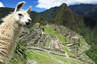 Ayahuasca retreat + Machupicchu