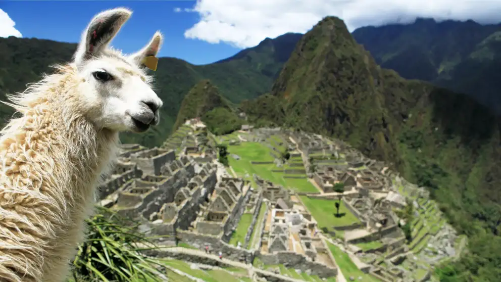 7 days Ayahuasca retreat + Machupicchu