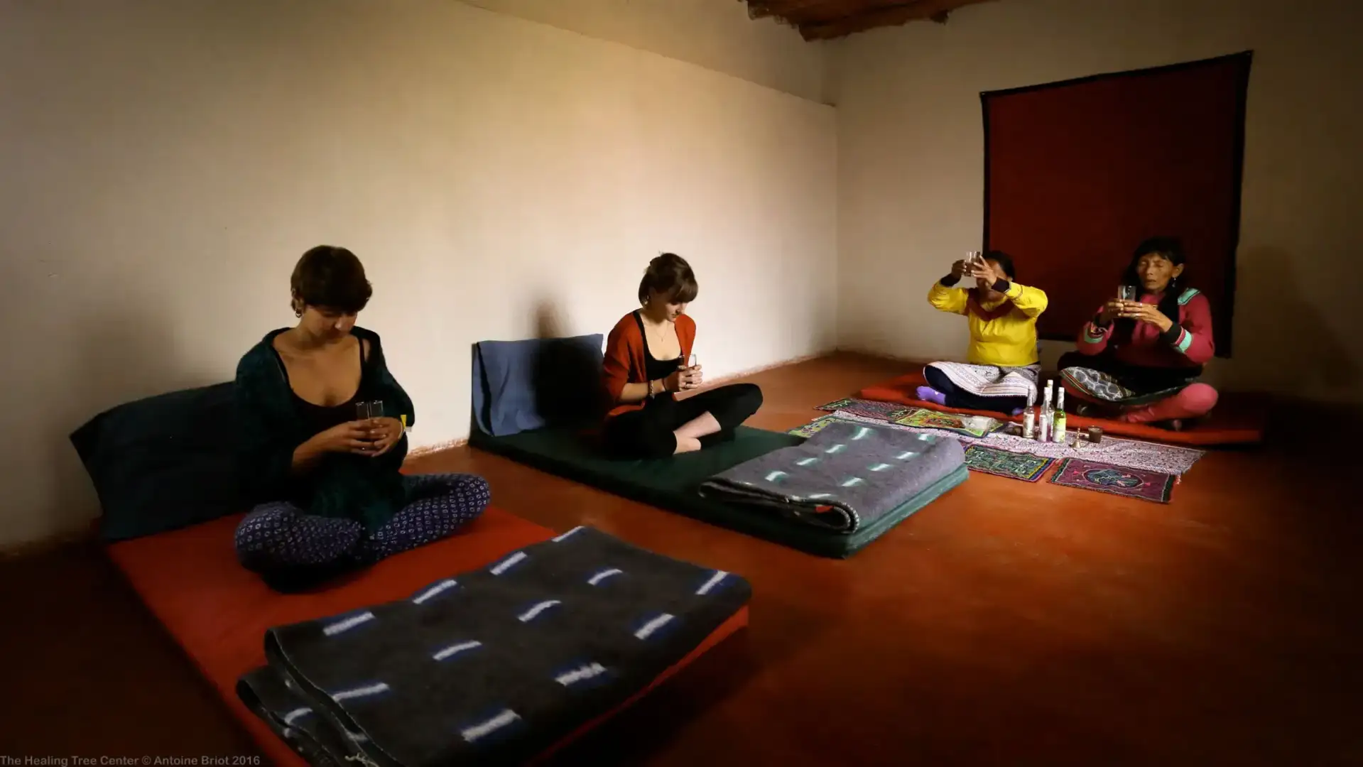 Ayahuasca retreat - 3 days / 2 night